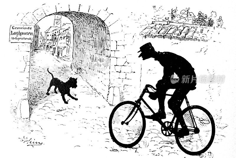 狗挡住了一个骑自行车的人的路