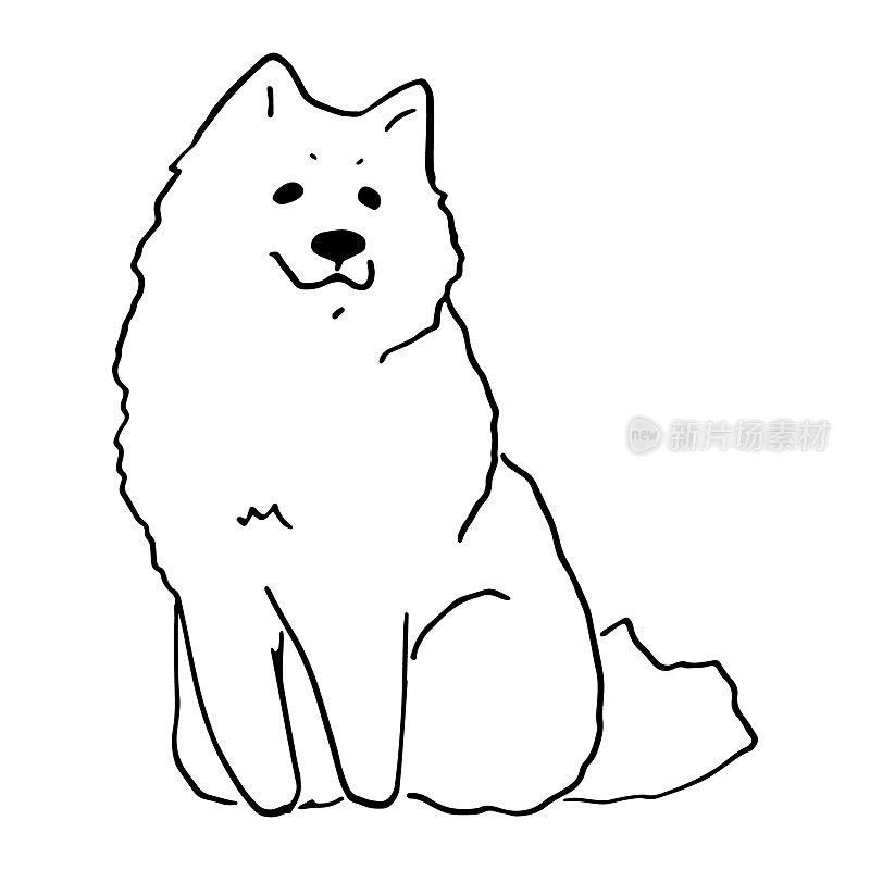 白色可爱的微笑萨摩耶狗涂鸦素描
