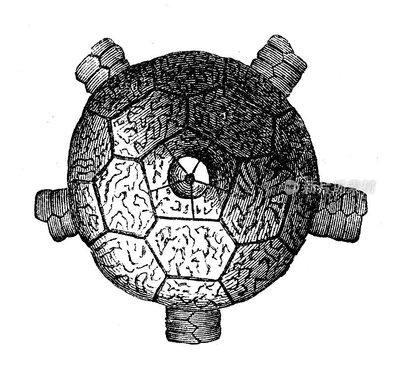 古代插图、地质和化石:象形文字画册