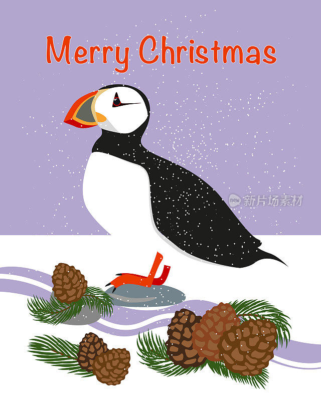 大西洋海雀圣诞贺卡