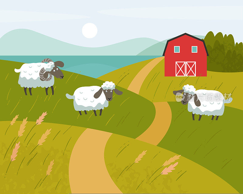 长着黑嘴的白羊在草地上吃草。背景是红色的农场。矢量平面插图。