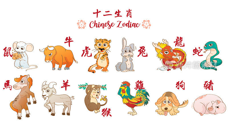 中国十二生肖中有趣的动物，鼠，牛，虎，兔，龙，蛇，马，羊，猴，鸡，狗，猪。中国历法(翻译12生肖)卡通矢量插图
