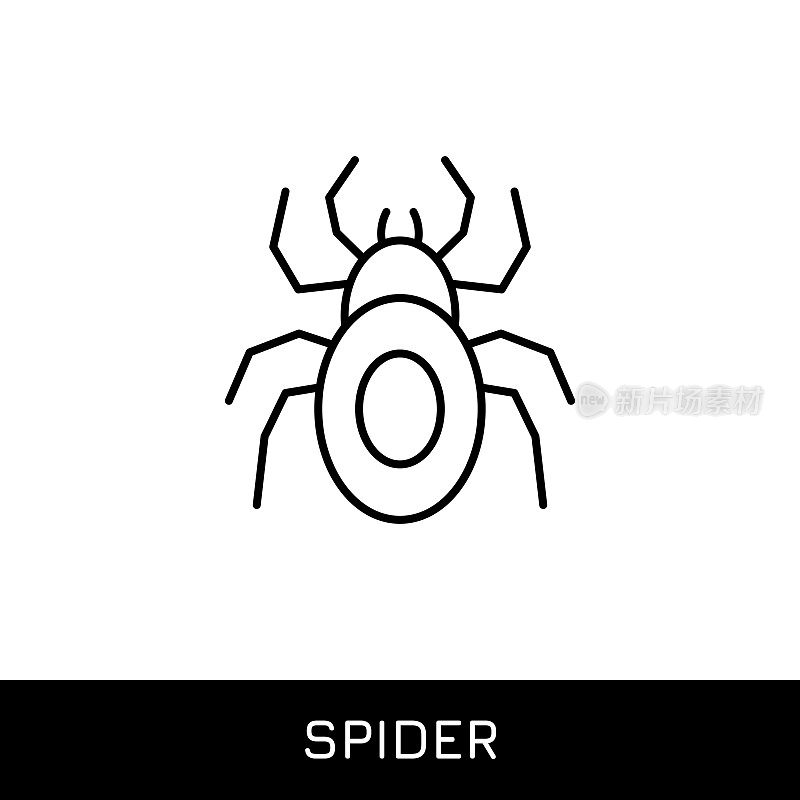 蜘蛛，狼蛛单线图标设计