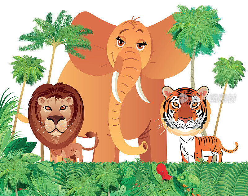 森林和大象，狮子和老虎