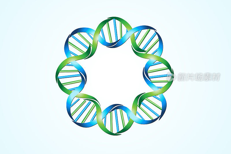 DNA链矢量