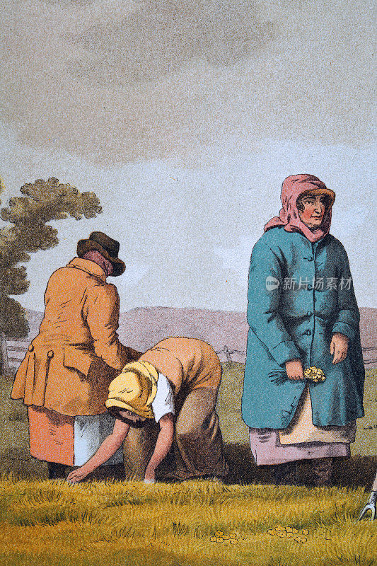 农工在玉米地里除草，约克郡，19世纪早期的英国艺术