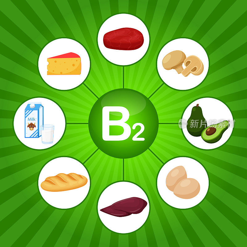 含有维生素B2的食品的方形海报。核黄素。医学，饮食，健康饮食，信息图表。平坦的卡通食物元素在明亮的绿色背景与阳光。