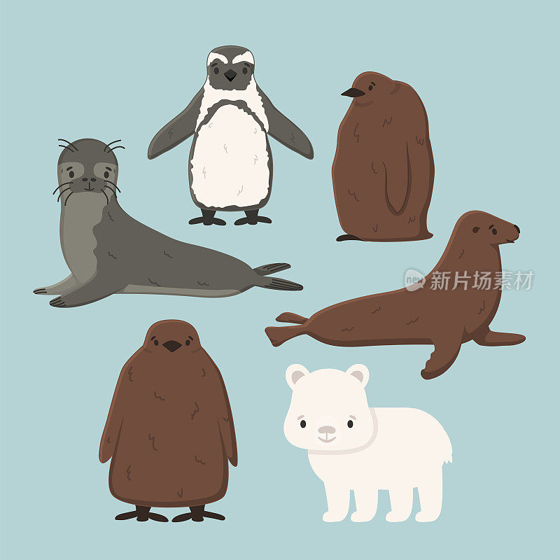 集向量企鹅，王企鹅雏鸟，海狗，北极熊幼崽，小海豹。孤立的小卡通可爱的海洋和海洋动物为儿童书籍，贴纸或打印的衣服