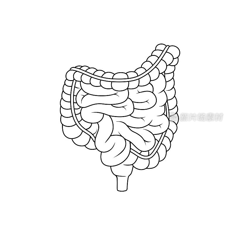 黑白矢量插图的儿童活动彩色书页与图片的内脏器官，大肠。