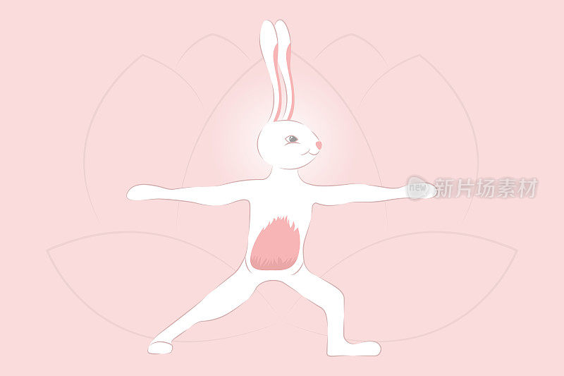 兔子练习瑜伽Virabhadrasana战士式