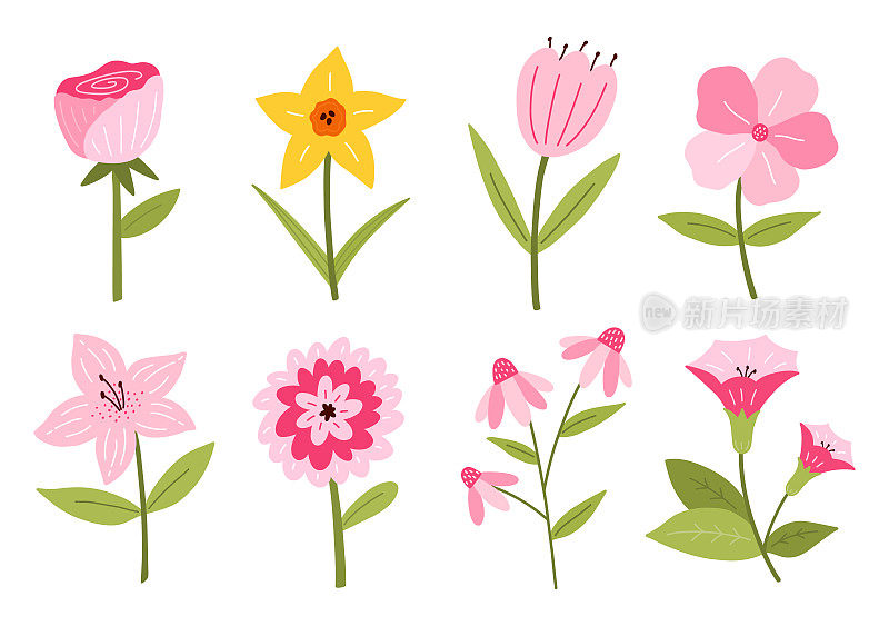 一套不同的可爱的花孤立在白色背景。矢量插图手绘平面风格。完美的卡片，标志，装饰，春夏设计。植物剪纸艺术。