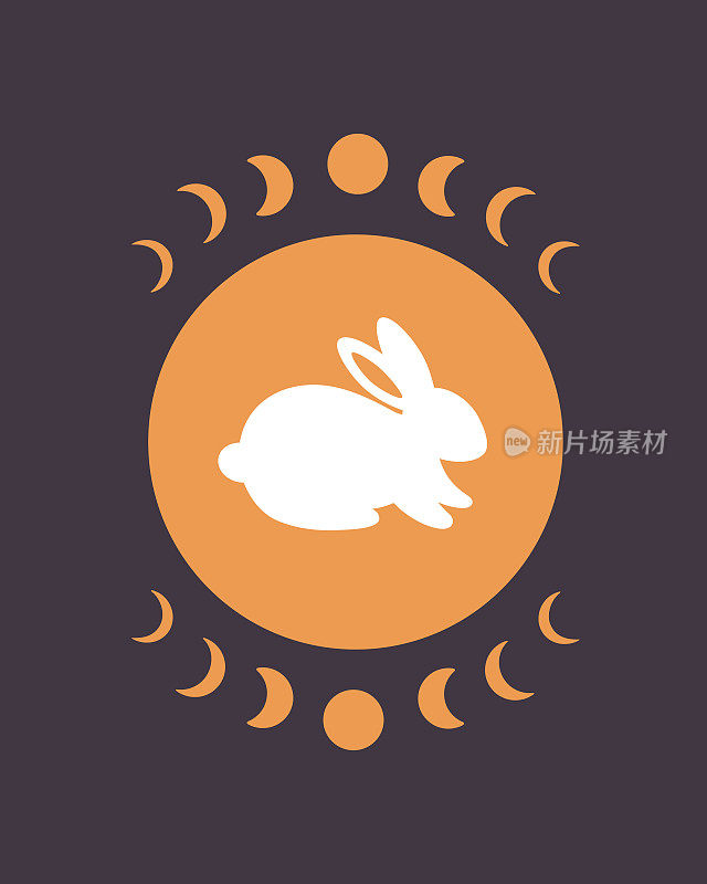 有占星元素的可爱小白兔。兔年。手绘矢量插图