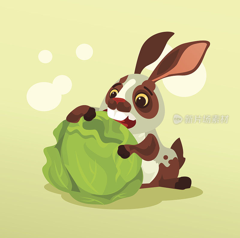 快乐的兔子人物吃卷心菜
