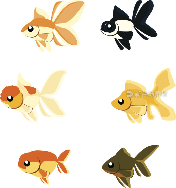 动物插画-金鱼