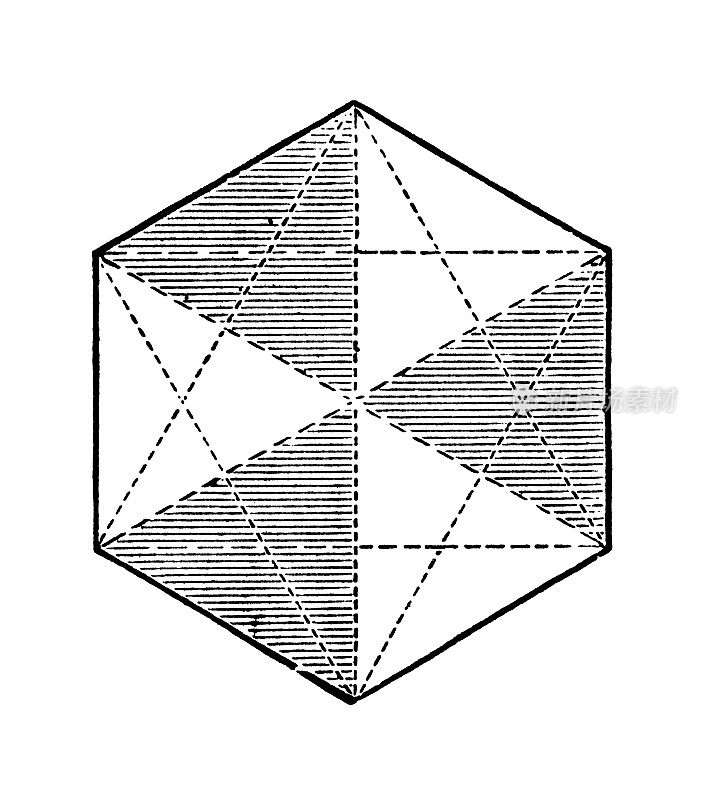 古董雕刻插图:花坛形状，六边形