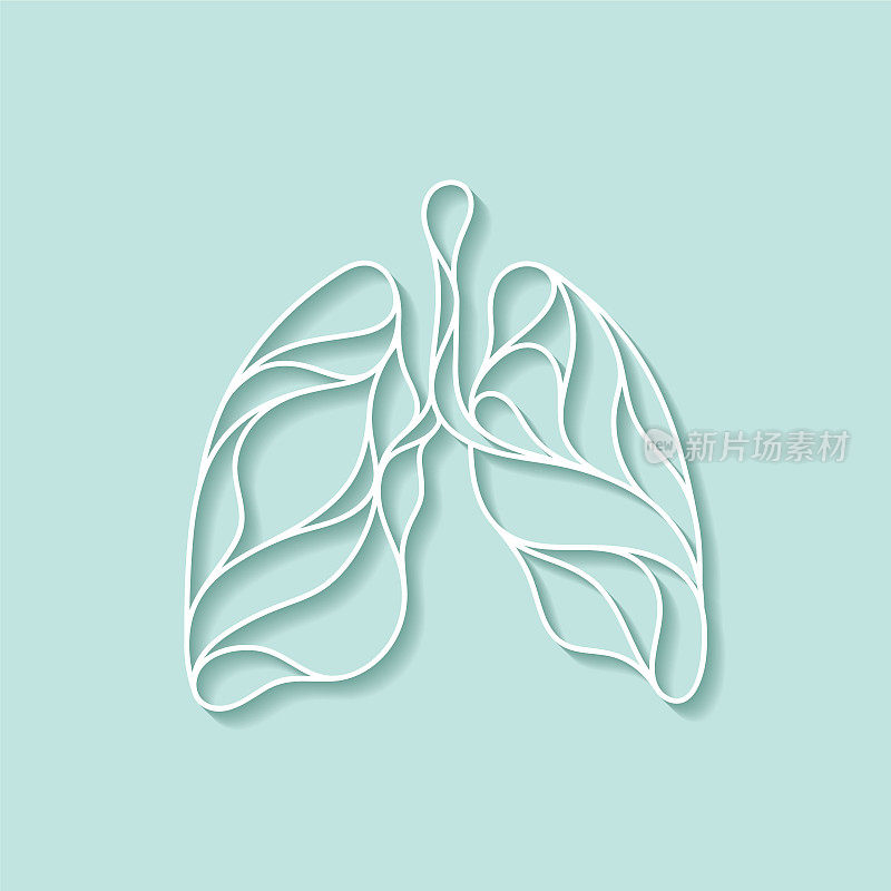 人体肺