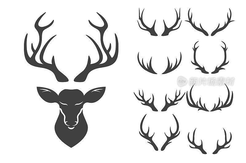 矢量驯鹿角，鹿角。鹿角剪影。手绘鹿角，鹿角集。动物鹿角收藏。鹿的设计元素。野生动物猎人，潮人，圣诞节和新年的概念