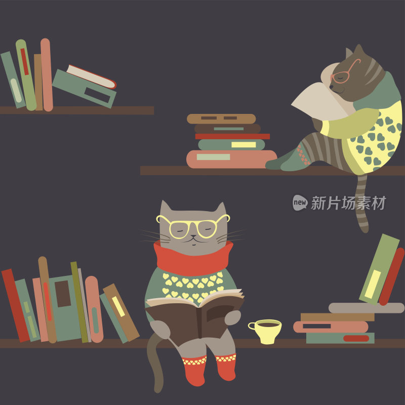 在书架上看书的猫