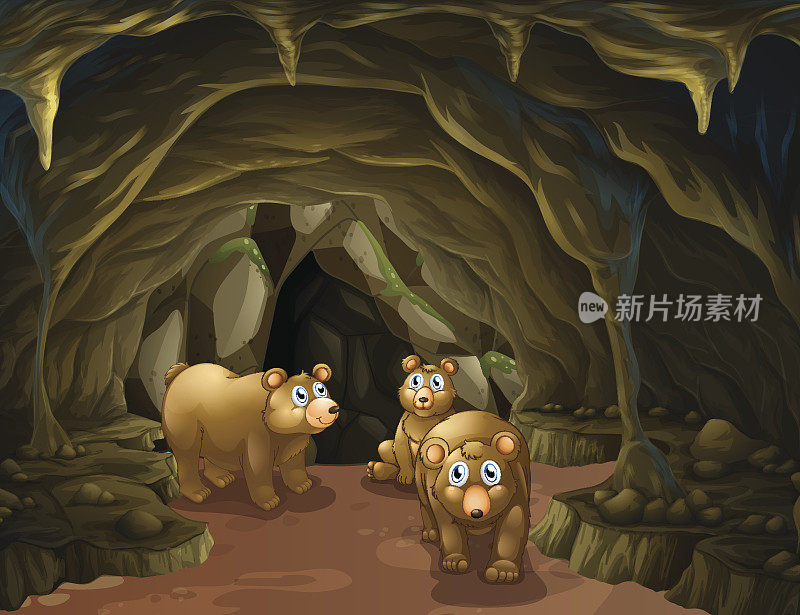 熊一家住在山洞里