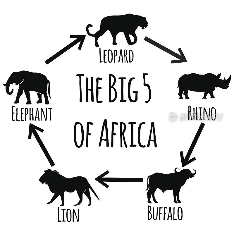 非洲的五大国家。