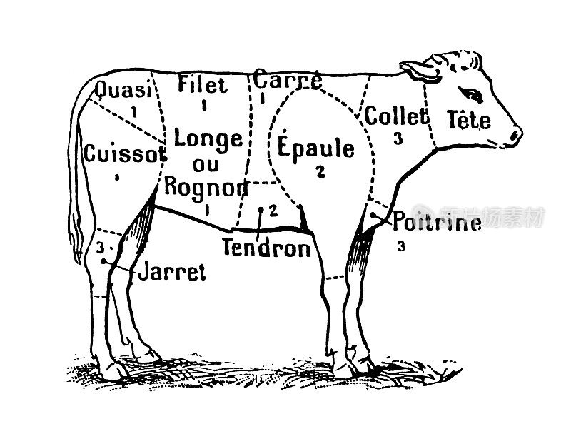 小牛肉切块(单独在白牛肉上)