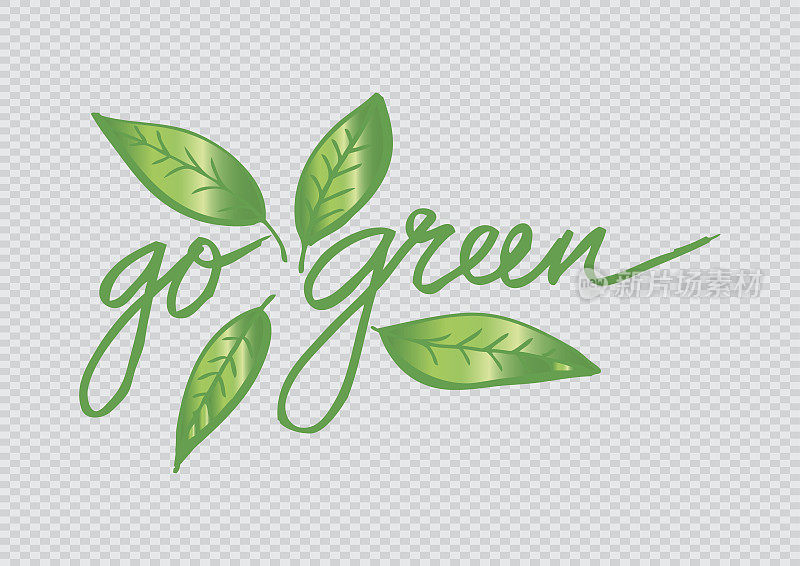 绿叶的自然概念。走绿色。