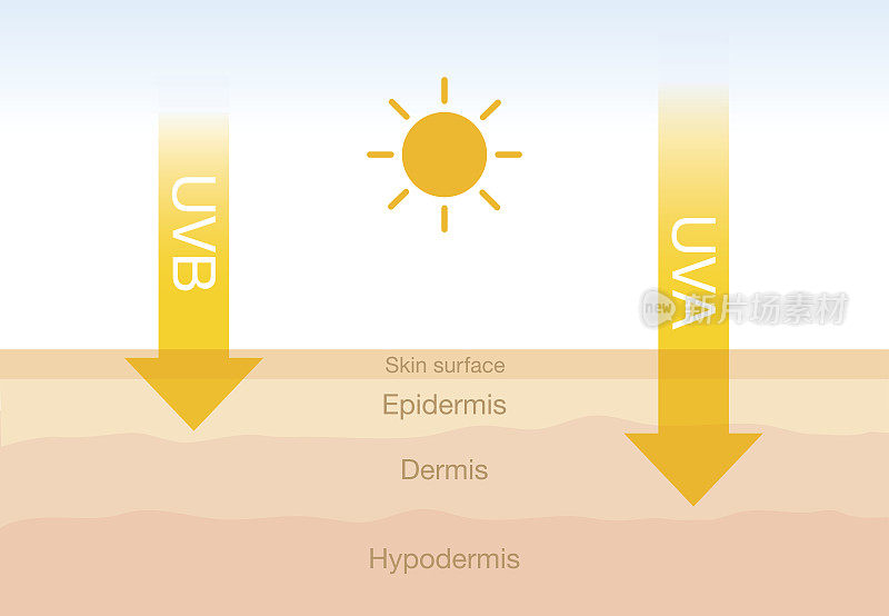 2种辐射类型在日光下与皮肤的区别。