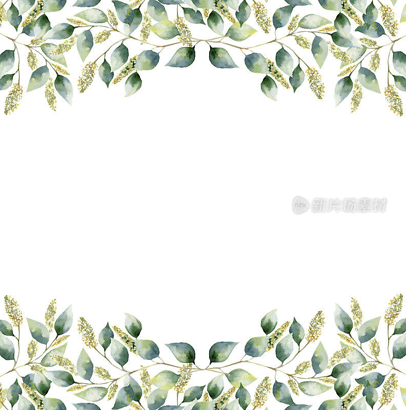 水彩绿色花框架卡与种子桉树叶。手绘边界与树枝和树叶的桉树孤立在白色的背景。设计或背景