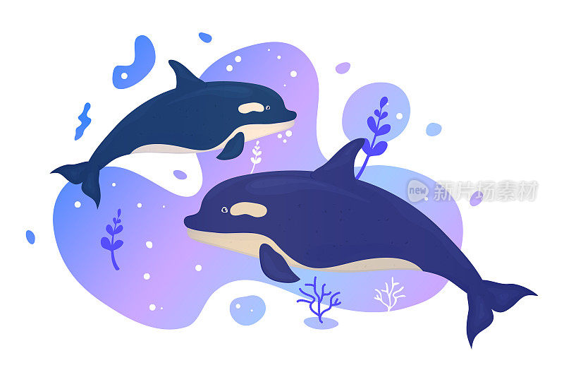 海里的两只海豚。海洋鱼类。水下海洋野生生物。矢量插图。