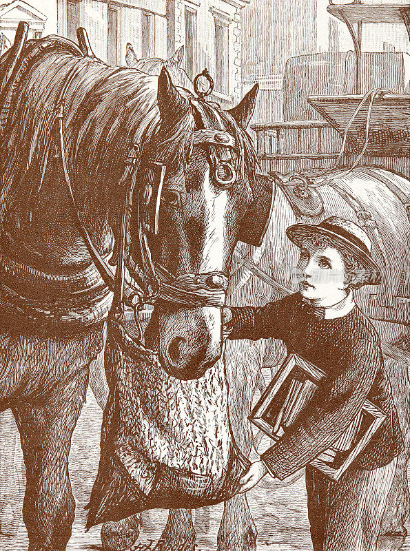 女孩和马在马厩里