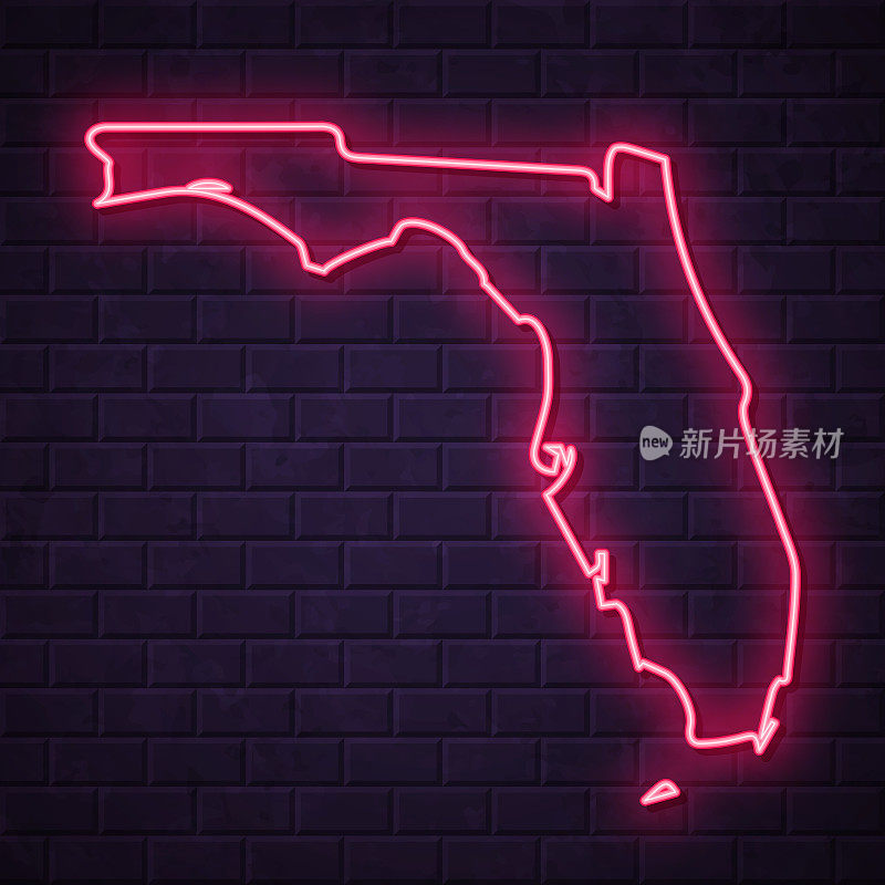 佛罗里达地图-发光的霓虹灯在砖墙的背景