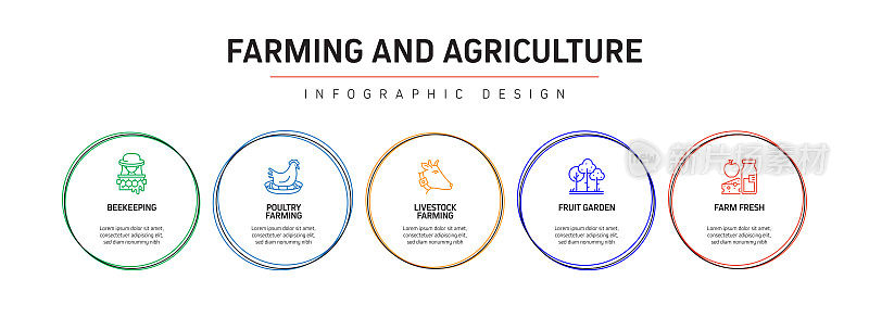 农业和农业相关过程信息图模板。过程时间图。带图标的工作流布局