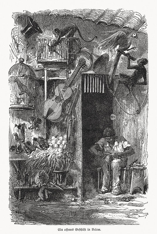 巴西北部贝伦的一家木刻店，1868年出版