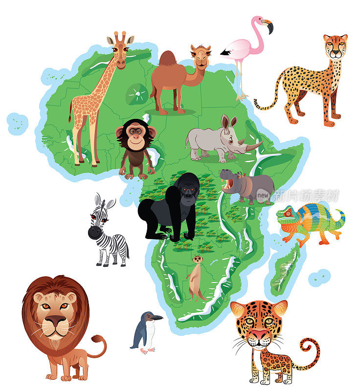非洲和动物