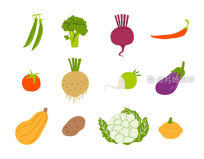的蔬菜。收集卡通蔬菜在白色的背景。栽培植物分离的矢量插图。