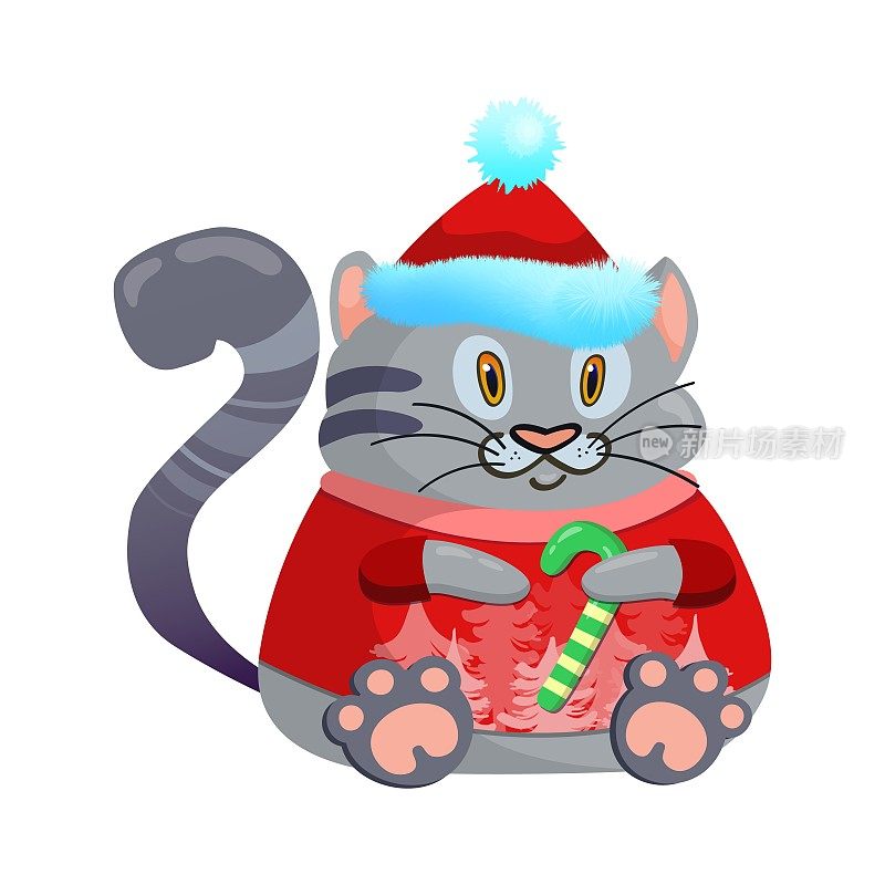 灰猫戴着圣诞帽，穿着红毛衣。新年焦糖凯蒂。有趣的卡哇伊动物。可爱的卡通宝宝角色。