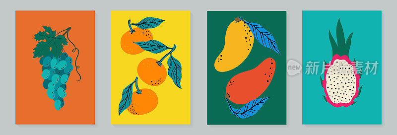 水果海报集葡萄，橘子，芒果和火龙果。现代风格，色彩柔和