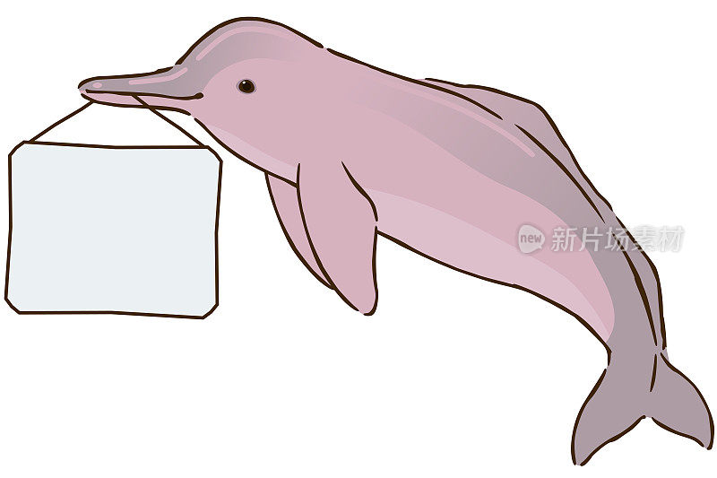 拿着留言板的亚马逊河海豚