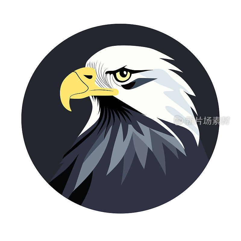 鹰在灰色背景，用于标志，背景