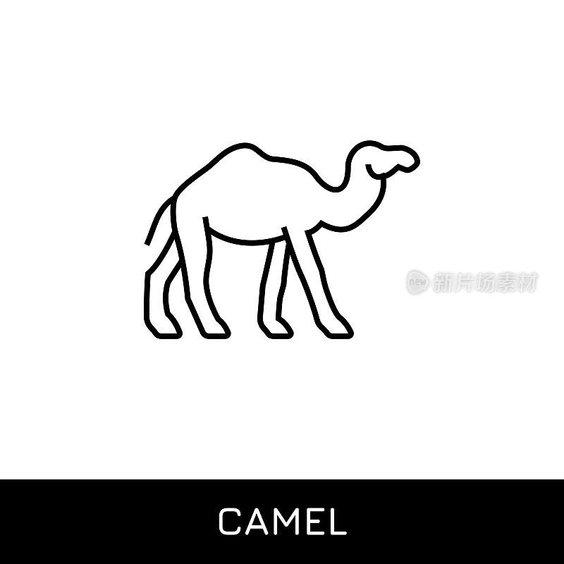 骆驼可编辑的笔画矢量线图标。