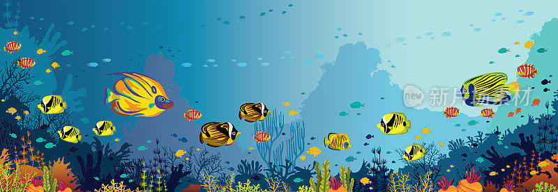 水下珊瑚礁和鱼类
