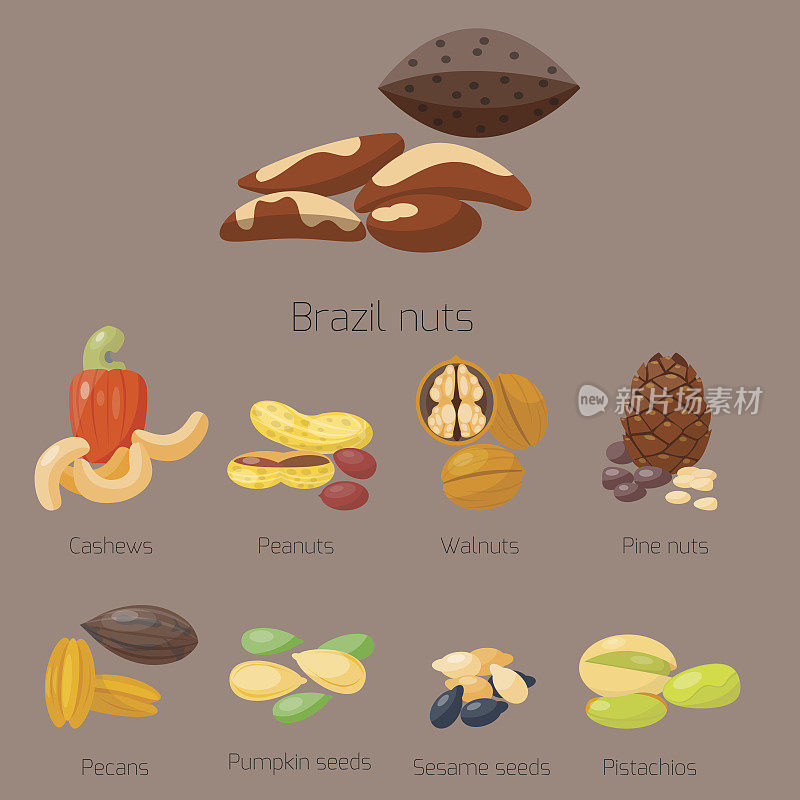成堆不同的坚果，开心果，杏仁，花生，核桃，腰果，栗子，美味的种子矢量插图