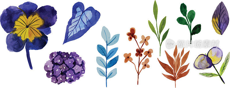 自然中紫色花朵和彩色树叶的水彩画，水彩背景，2d插图