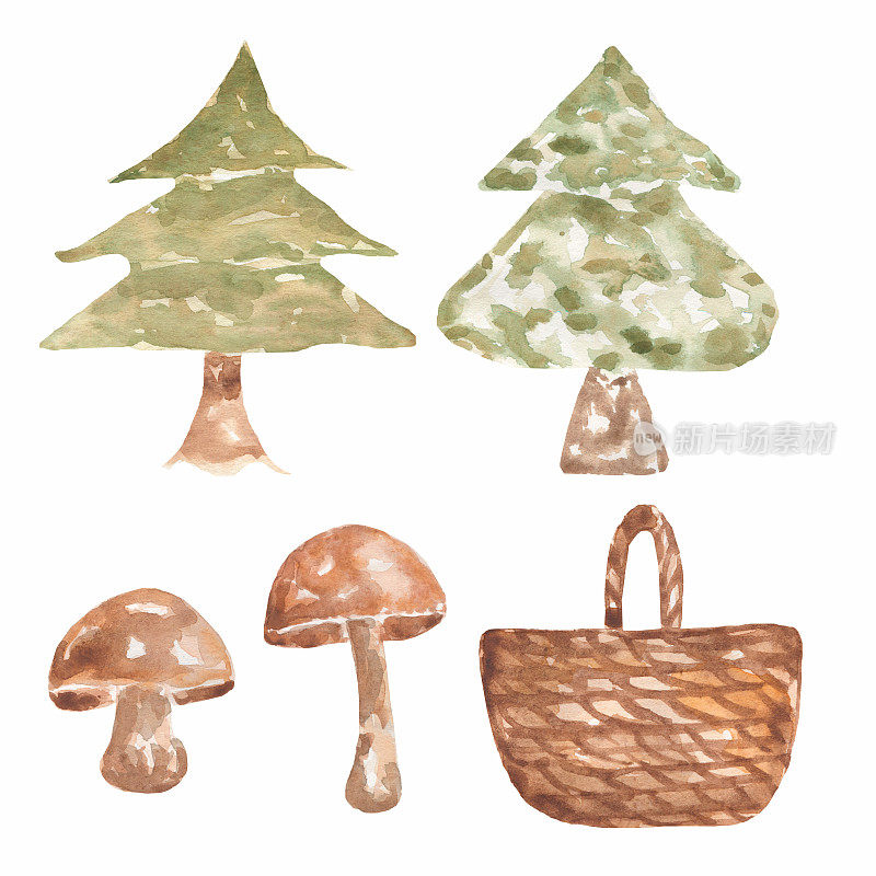 水彩画与圣诞树和篮子，蘑菇。手绘林地插图背景。秋天的森林。