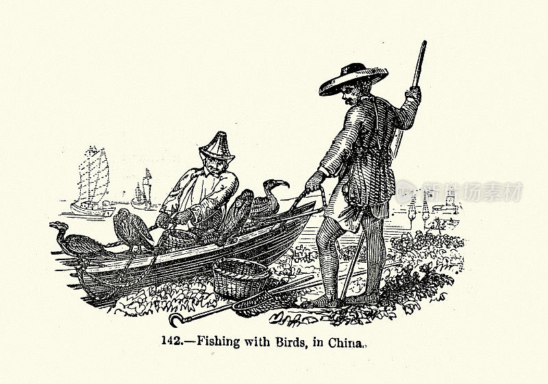 中国渔民用训练过的鸟捕鱼，《渔业史》，19世纪50年代至19世纪