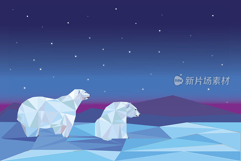 低聚北极熊坐在冰上
