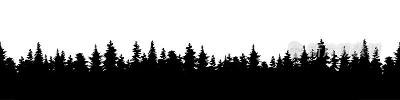 一个针叶林的剪影全景的矢量插图。森林背景