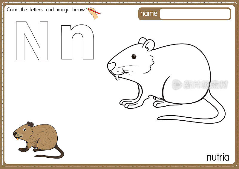 矢量插图的儿童字母着色书页与概述剪贴画，以颜色。字母N代表海狸鼠。