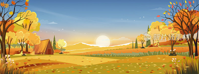 秋天的乡村景观在傍晚的光线与日落，蓝色和橙色的天空背景，矢量动画秋天的乡村与森林树木和草地与日出，背景自然横幅