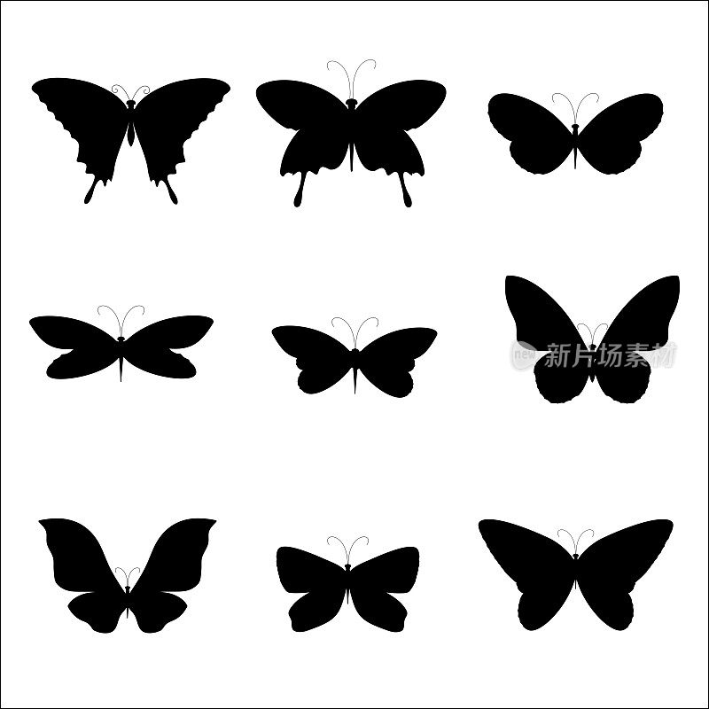蝴蝶剪影黑色设置孤立在白色背景